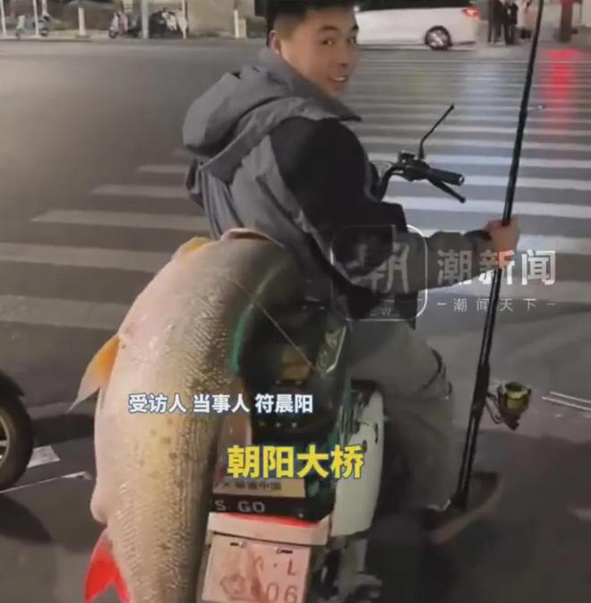 重的鳡鱼绕城5小时炫耀！网友评论亮了麻将胡了试玩网站免费男子钓到56斤(图2)